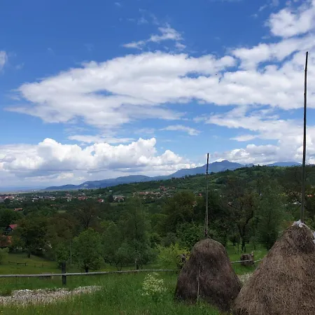 Pensiunea Padina برانْ