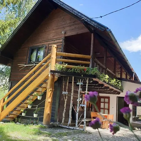 Pensiunea Padina * برانْ
